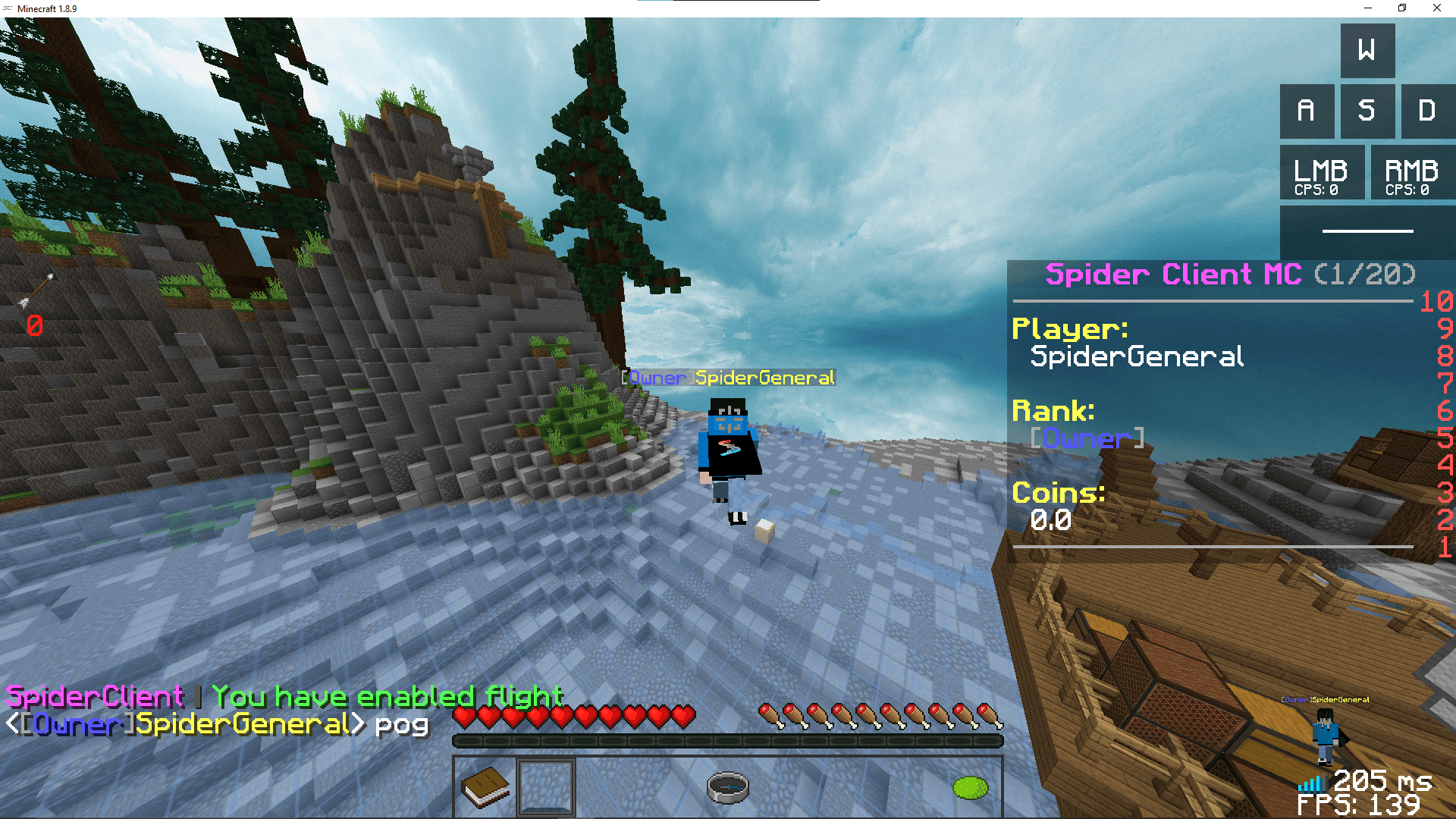 Spider Client screenshot 2